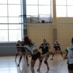 IMG_0040 IMG_0040