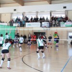 IMG_0111 IMG_0111
