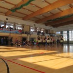 IMG_1264 IMG_1264