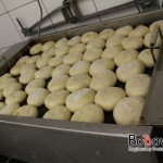 IMG_9976 IMG_9976