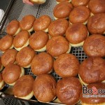 IMG_9980 IMG_9980