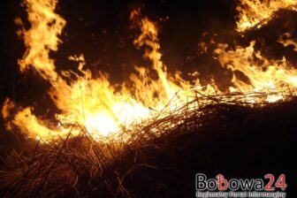 Pożar traw w Sedziszowej