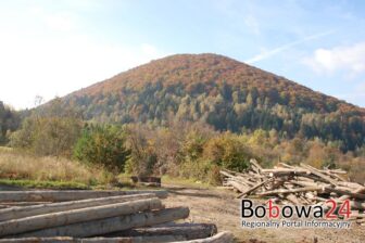 Kontrola państwa nad lasami prywatnymi