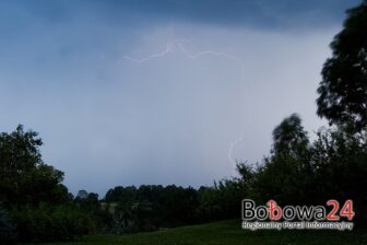 Piękne, fascynujące ale jakże niebezpieczne