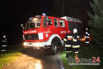 Frytkownica napędziła strachu w Brzanie
