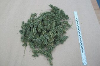 Policja zatrzymała kolejne partie narkotyków