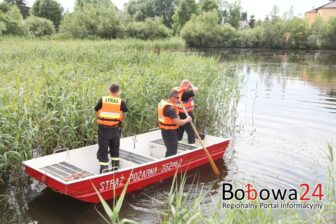 Przeszukują łąki, zarośla, lasy, bagna i stawy