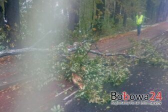 Śnieg połamał gałęzie. Interweniowali druhowie z Bobowej