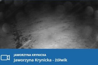 Meteorolodzy ostrzegają przed intensywnym deszczem, a na Jaworzynie Krynickiej spadł śnieg!
