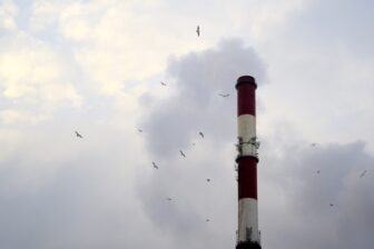 Podpisz się przeciw smogowi, zajmie ci to chwilę