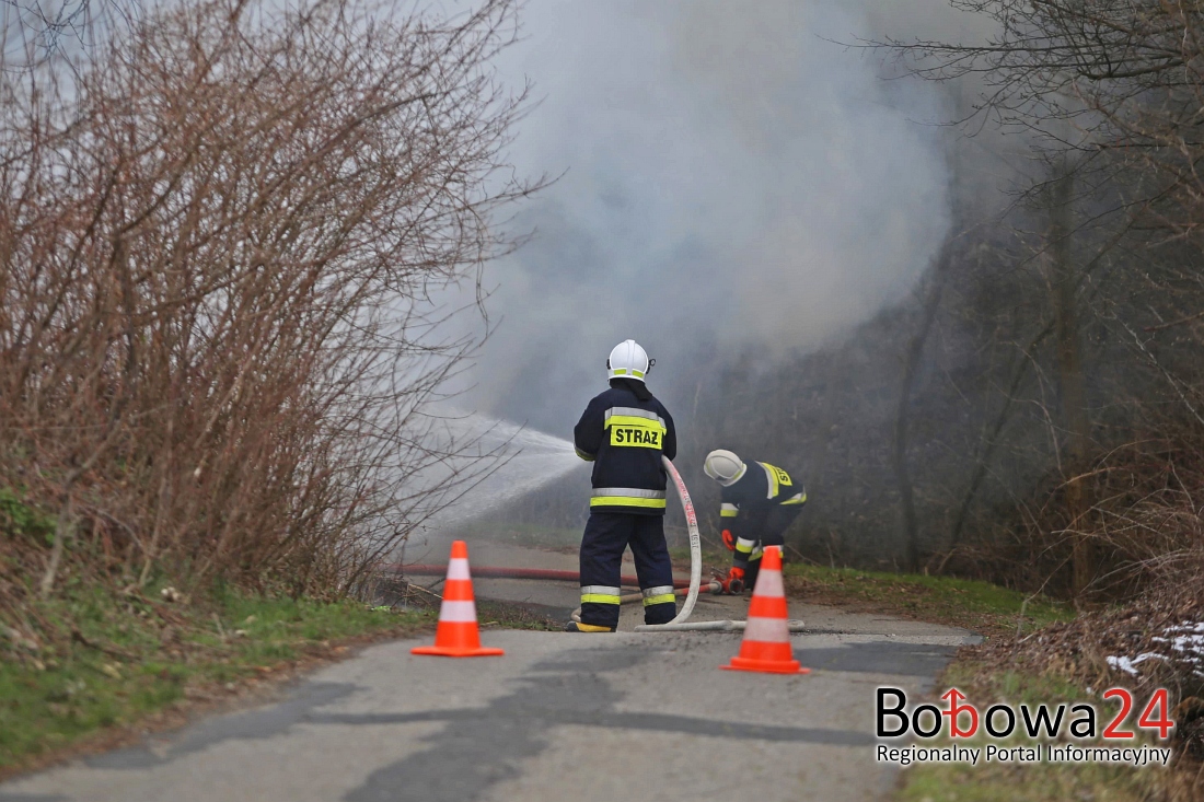 Bobowa: strażacy gasili pożar krzaków, pni drzew oraz pozostałości roślinnych na ul. Widok