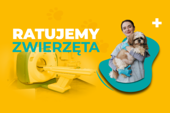 Koniec z długimi wyjazdami – tomograf weterynaryjny już w regionie!