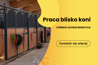 Wsi spokojna… Praca dla miłośników koni – od zaraz!