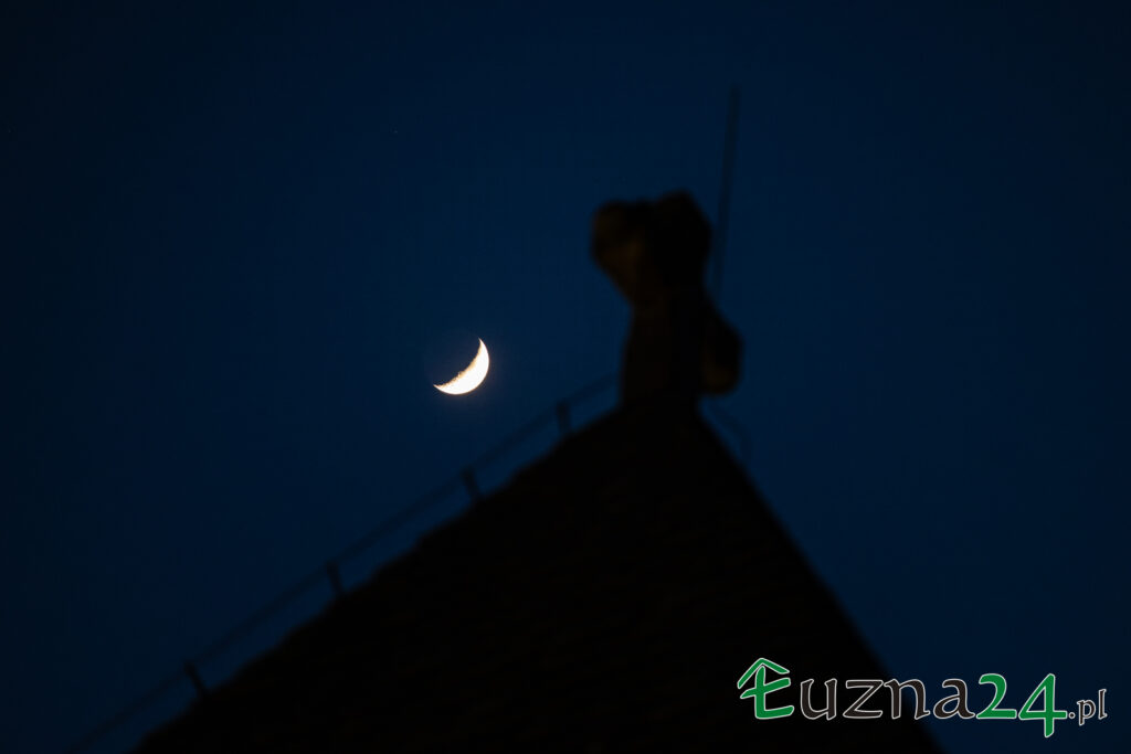 m86-2025-05-02-Majowka-Gontyna-Luzna-5T1A9963-Poprawione-Szum-1024x683