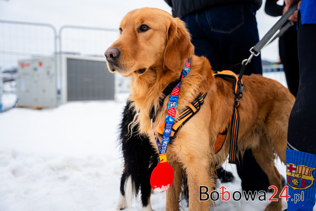 m142-Biegi-Wosp-Bobowa-MMM08570-1024x683