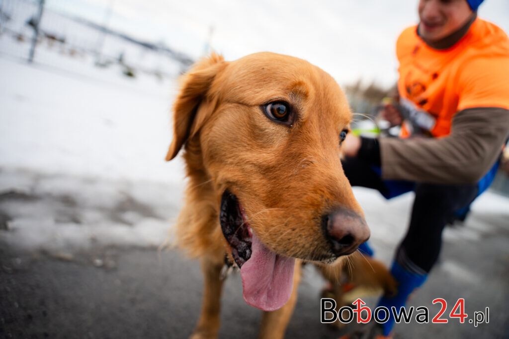 m52-Biegi-Wosp-Bobowa-MMM07787-1024x683