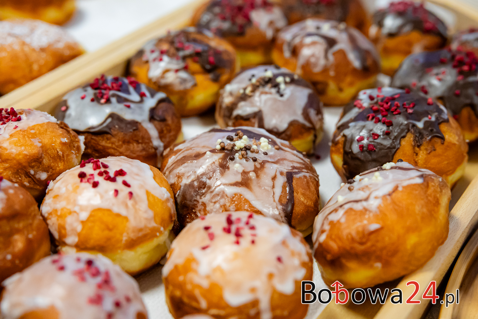 m5-Koncert-Eleni-Bobowa-060A1770-1024x683