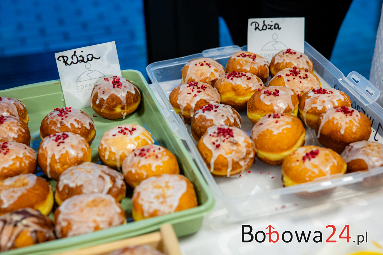 m6-Koncert-Eleni-Bobowa-060A1785-1024x683