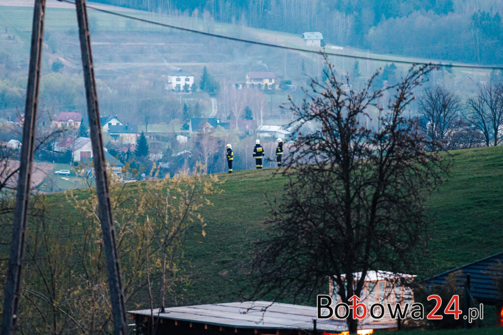 m1-Poszukiwania-Wilczyska-MMM00697-1024x683