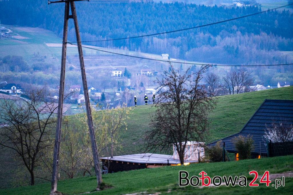 m1-poszukiwania-wilczyska-IMG_3134-1024x683