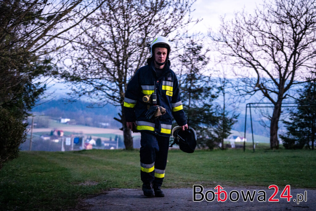 m3-poszukiwania-wilczyska-IMG_3142-1024x683