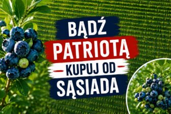 Borówki do paczkomatu? A może owocna współpraca z plantacją? 