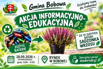 Nie wyrzucaj zużytych baterii. W Bobowej możesz wymienić je na sadzonkę wrzosu